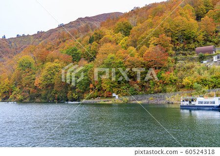 Okutadami Lake Ginzandaira Course Autumn Okutadami Lake Ginzandaira Course Autumn 60524318