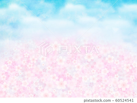 Cherry blossoms in full bloom and blue sky Sakura blizzard Sakura Someiyoshino 60524541