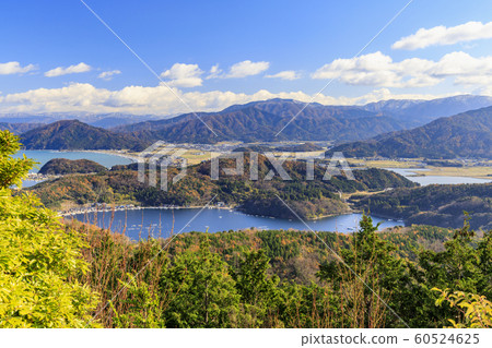 Mikata Goryo 60524625