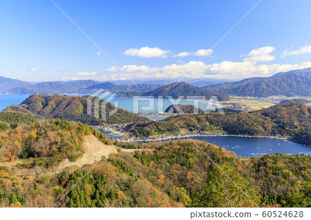 Mikata Goryo 60524628
