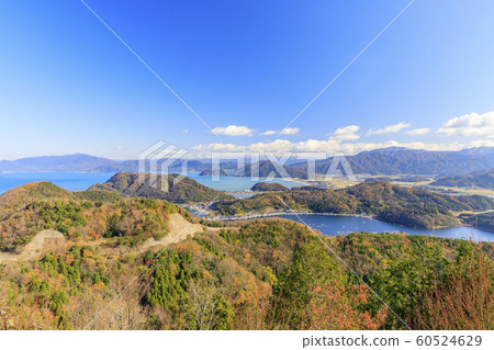 Mikata Goryo 60524629