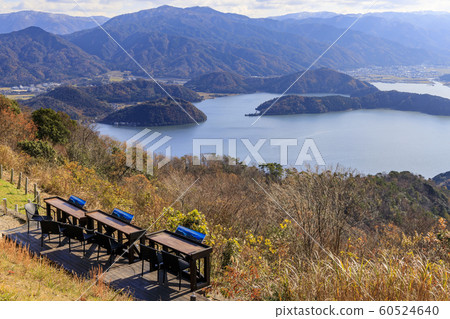 Mikata Goryo 60524640