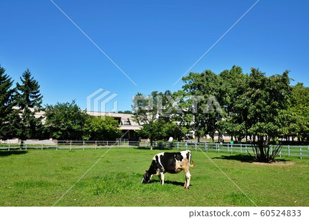 Hokkaido University Faculty of Veterinary Medicine Hokkaido University Faculty of Veterinary Medicine 60524833