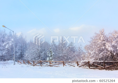 Winter forest, wooden fence, mountain peaks Winter forest, wooden fence, mountain peaks 60525264