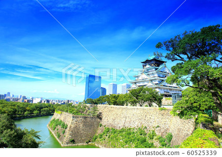 Osaka Castle Osaka Castle 60525339