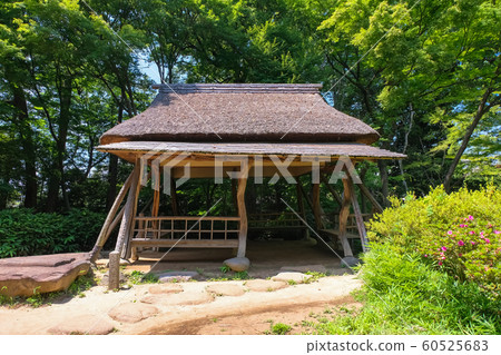 新鮮的綠色Rikugien杜鵑花茶館 60525683