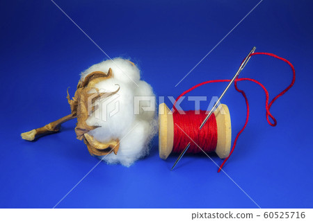 Cotton boll with reel of bright red yarn 60525716