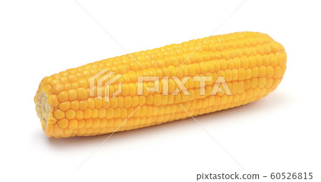 Fresh corn cob isolated on white 60526815