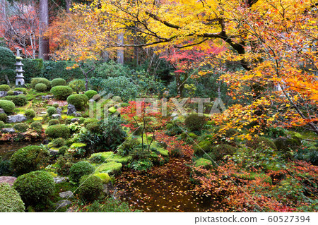 Sanzenin Ju-en Garden 60527394