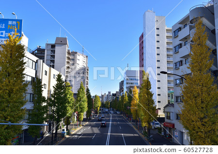 杉並小gi房的青梅海道的秋葉風景 60527728