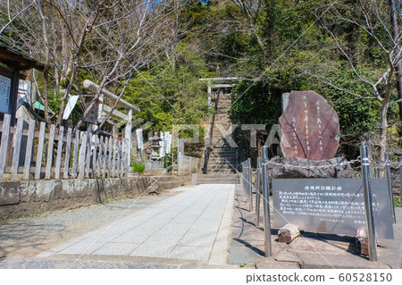 Tomb of Genyori morning in Kamakura Tomb of Genyori morning in Kamakura 60528150