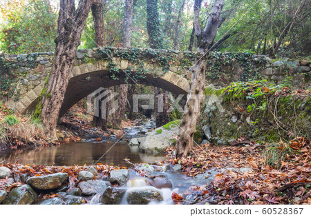 Bridge in Cyprus Bridge in Cyprus 60528367
