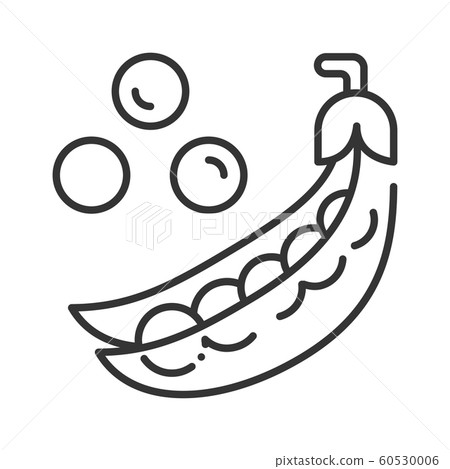 Pods of green peas and scattered pea beans black Pods of green peas and scattered pea beans black 60530006