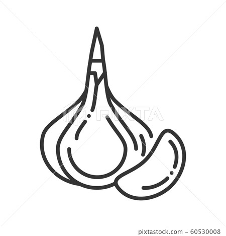 Garlic black line icon. Natural vegetable sign. Garlic black line icon. Natural vegetable sign. 60530008