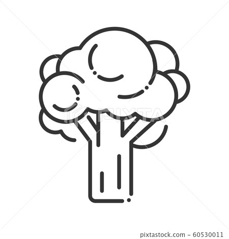 Broccoli black line icon. Natural vegetable sign. Broccoli black line icon. Natural vegetable sign. 60530011