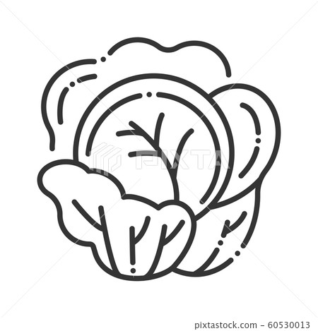 Cauliflower line black icon. Cabbage sign. Cauliflower line black icon. Cabbage sign. 60530013