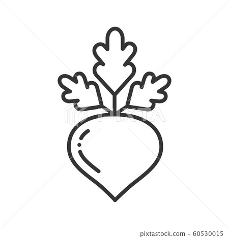 Beetroot black line icon. Natural vegetable sign. Beetroot black line icon. Natural vegetable sign. 60530015
