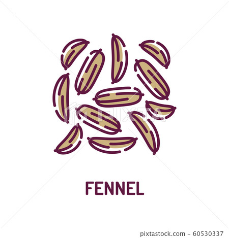 Fennel color line icon. Spices, seasoning. Cooking - Stock Illustration ...