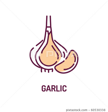 Garlic color line icon. Natural vegetable sign. - Stock Illustration ...