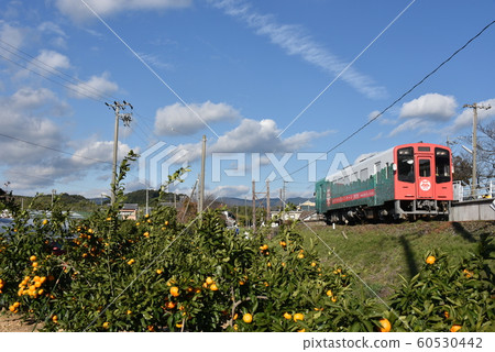 Tenryu Hamanako鐵路 60530442