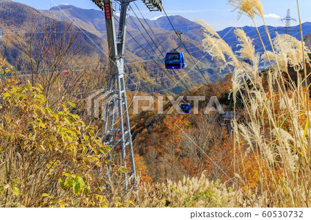 Naeba Kogen-Tashiro Kogen Autumn Naeba Kogen-Tashiro Kogen Autumn 60530732