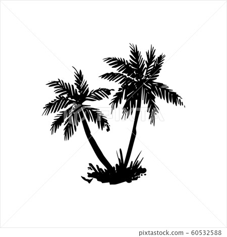 Vector hand drawn illustration of tropical palm tree Vector hand drawn illustration of tropical palm tree 60532588