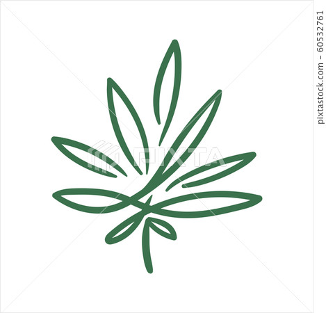 Vector hand drawn cannabis leaf illustration on white background 60532761