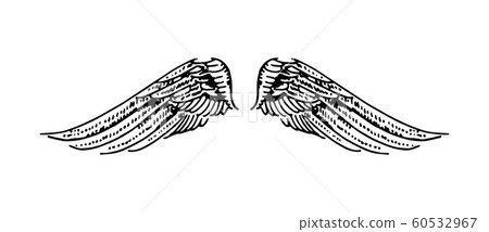 Vector hand drawn illustration of wings on... - Stock Illustration ...