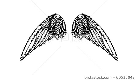 Vector hand drawn illustration of wings on white background. 60533042