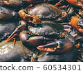 The top view of the crab on the seafood tray 60534301