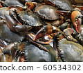 The top view of the crab on the seafood tray 60534302