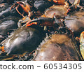 The top view of the crab on the seafood tray 60534305