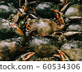 The top view of the crab on the seafood tray 60534306