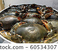 The top view of the crab on the seafood tray 60534307