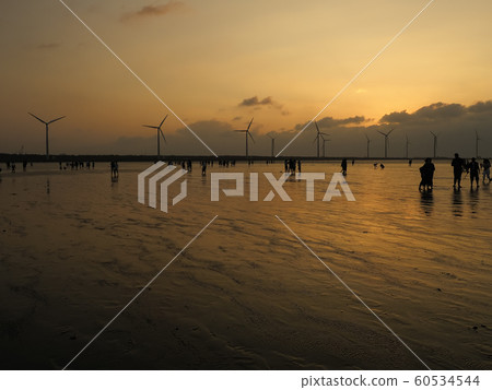 台灣台中市Taiome高美濕地,台灣台中 台灣台中市Taiome高美濕地,台灣台中 60534544