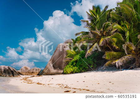 Palm tree at famous paradise Anse Source d'Argent beach at La Digue, Seychelles Palm tree at famous paradise Anse Source d'Argent beach at La Digue, Seychelles 60535191