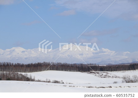 Asahikawa in winter 60535752