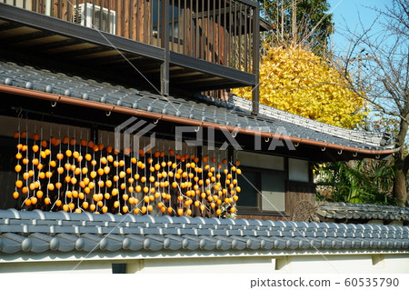 Dried persimmon, countryside winter tradition, december, clear weather Dried persimmon, countryside winter tradition, december, clear weather 60535790