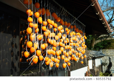 Dried persimmon, countryside winter tradition, december, clear weather Dried persimmon, countryside winter tradition, december, clear weather 60535792