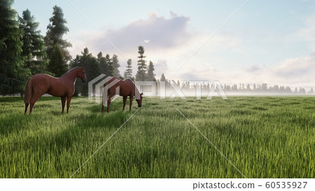 Beautiful wild horses graze in the meadow at dawn. The concept of horses. 3D Rendering Beautiful wild horses graze in the meadow at dawn. The concept of horses. 3D Rendering 60535927