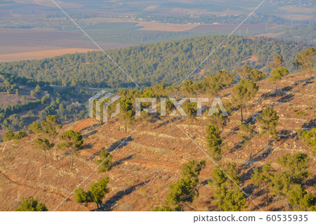 View from Giv'at Hamo're Nature Reserve. Near Afula, Israel in Western Asia. 60535935