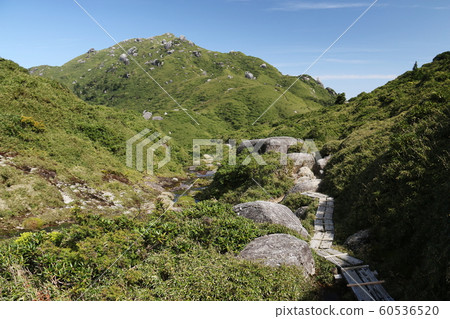 View from Yakushima Highest Peak Miyanouradake Shodake Water Place View from Yakushima Highest Peak Miyanouradake Shodake Water Place 60536520