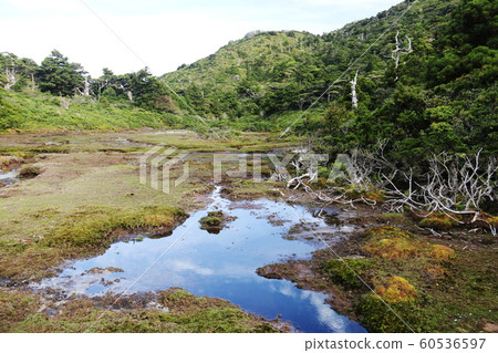 Road to the summit of Yakushima Miyanoura Take a look at Kuromi-dake from the Hananoe River 60536597