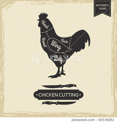 Butchers library vintage page - chicken cutting vector poster design Butchers library vintage page - chicken cutting vector poster design 60536892