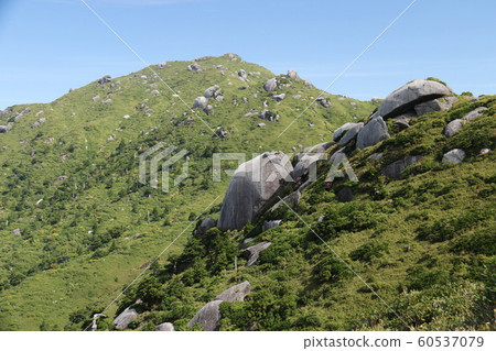 屋久山屋谷最高峰宮之路 屋久山屋谷最高峰宮之路 60537079