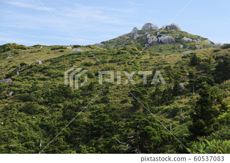 屋久山屋谷最高峰宮之路 屋久山屋谷最高峰宮之路 60537083