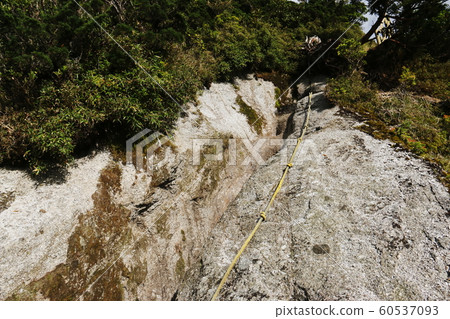 Yakushima Highest Peak Miyanouradake Road to the summit Yakushima Highest Peak Miyanouradake Road to the summit 60537093