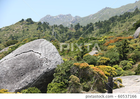 屋久島（宮之山） 60537166