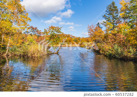 秋天十和田八man平國家公園八man平大沼 秋天十和田八man平國家公園八man平大沼 60537282