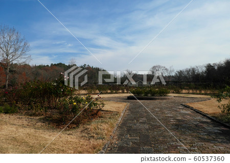 German Forest German Forest 60537360